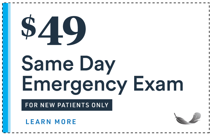 $49 Emergency Exam
